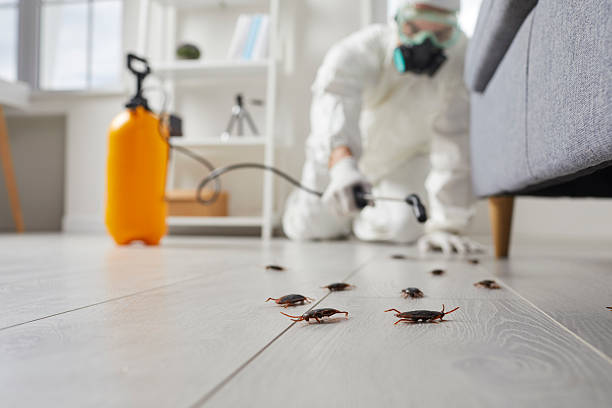 Commercial Kitchen Cockroach Control in West Carson